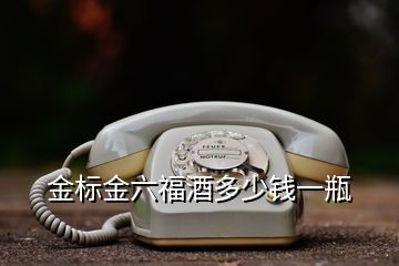 金標(biāo)金六福酒多少錢一瓶