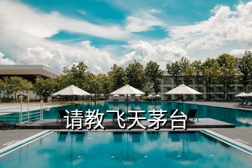 請教飛天茅臺
