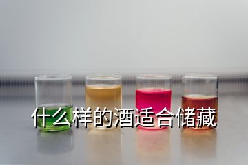 什么樣的酒適合儲藏