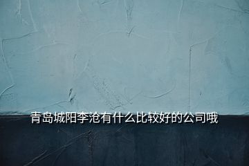 青島城陽(yáng)李滄有什么比較好的公司哦
