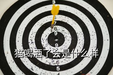 貓喝酒了會是什么樣