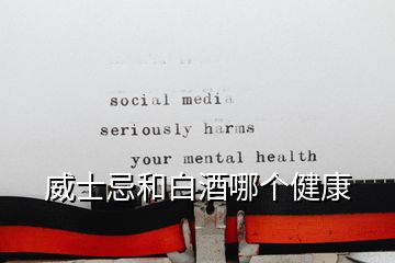 威士忌和白酒哪個(gè)健康