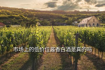 市場上的低價位醬香白酒是真的嗎