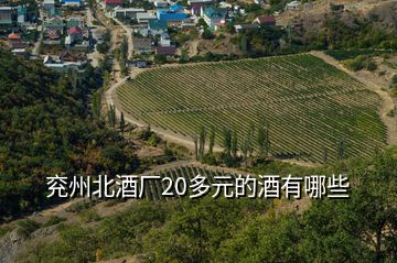 兗州北酒廠(chǎng)20多元的酒有哪些