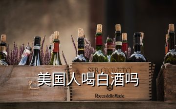 美國(guó)人喝白酒嗎