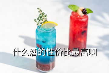 什么酒的性價比最高啊