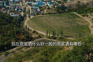 現(xiàn)在原漿酒什么好一般的原漿酒有哪些