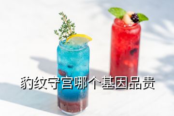 豹紋守宮哪個(gè)基因品貴