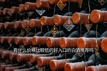 有什么價(jià)格比較低的好入口的白酒推薦嗎