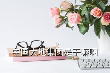 中國大地集團是干嘛啊
