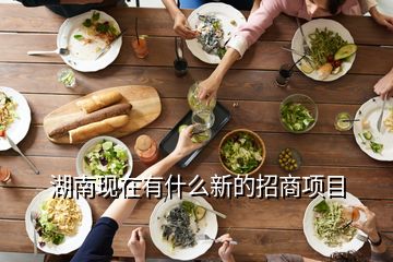 湖南現(xiàn)在有什么新的招商項目