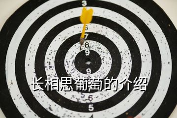 長相思葡萄的介紹