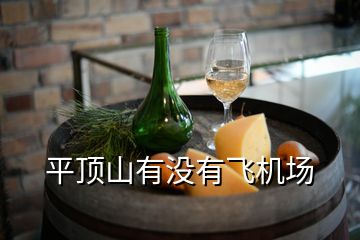 平頂山有沒有飛機場