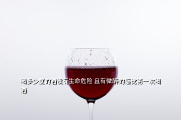喝多少度的酒沒有生命危險(xiǎn) 且有微醉的感覺第一次喝酒