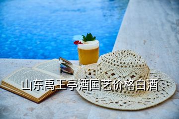 山東禹王亭酒國藝價格白酒