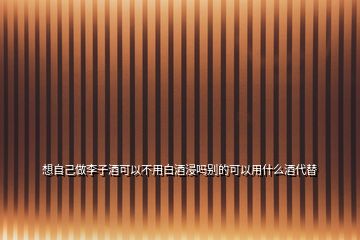 想自己做李子酒可以不用白酒浸嗎別的可以用什么酒代替
