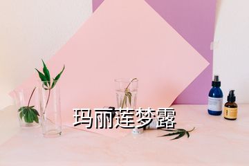 瑪麗蓮夢(mèng)露