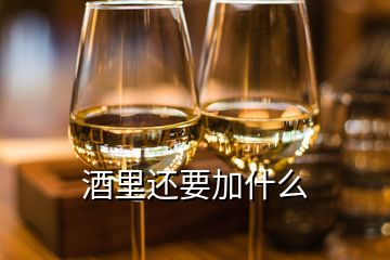 酒里還要加什么
