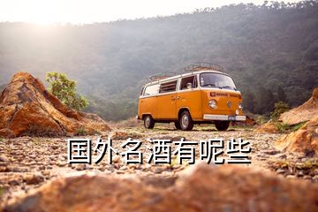 國(guó)外名酒有呢些