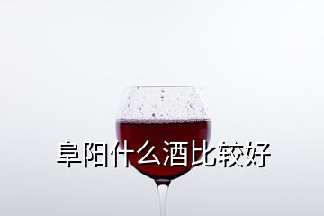 阜陽(yáng)什么酒比較好