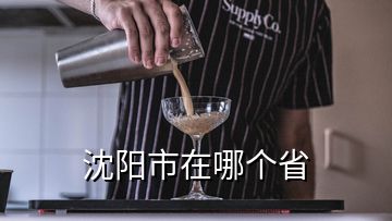 沈陽市在哪個省