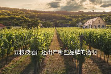 五糧液酒廠還出產(chǎn)哪些品牌的酒啊