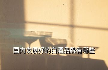 國內發(fā)展好的白酒品牌有哪些