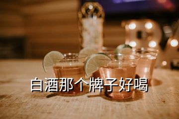白酒那個(gè)牌子好喝