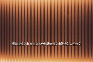 想知道遵義市 從遵義茅臺機場到遵義市政府怎么坐公交
