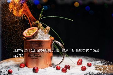 現(xiàn)在投資什么比較好呢看見四川散酒廠招商加盟這個(gè)怎么樣好嗎