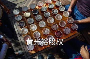 黃光裕股權(quán)