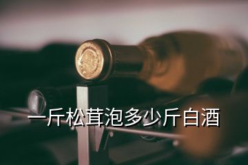 一斤松茸泡多少斤白酒
