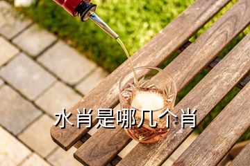 水肖是哪幾個(gè)肖