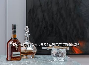 我現(xiàn)在 在龍華什么去寶安區(qū)金威啤酒廠我不知道路線(xiàn)