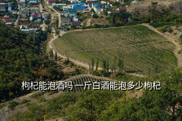 枸杞能泡酒嗎 一斤白酒能泡多少枸杞
