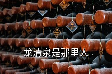 龍清泉是那里人