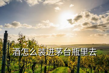 酒怎么裝進茅臺瓶里去