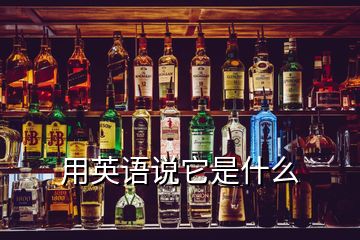 用英語(yǔ)說(shuō)它是什么