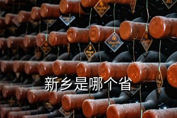 新鄉(xiāng)是哪個(gè)省
