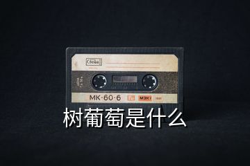 樹(shù)葡萄是什么