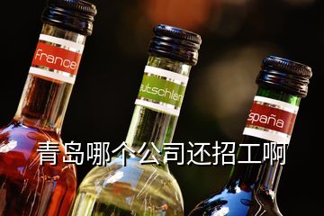 青島哪個(gè)公司還招工啊