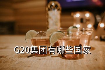 G20集團(tuán)有哪些國(guó)家
