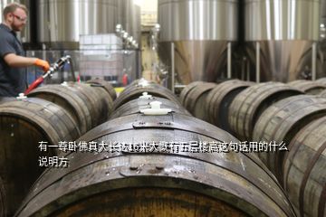 有一尊臥佛真大長達(dá)16米大慨有五層樓高這句話用的什么說明方