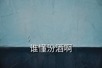 誰(shuí)懂汾酒啊
