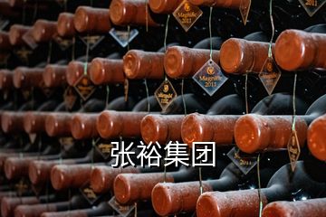 張?jiān)＜瘓F(tuán)