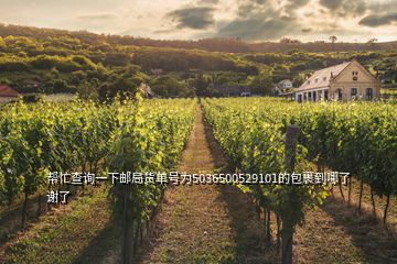 幫忙查詢一下郵局貨單號為5036500529101的包裹到哪了謝了