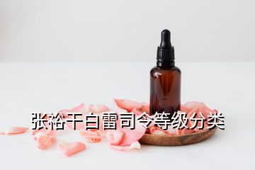 張?jiān)8砂桌姿玖畹燃?jí)分類