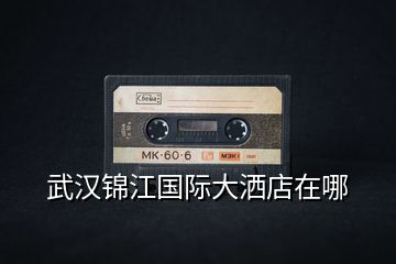 武漢錦江國際大灑店在哪