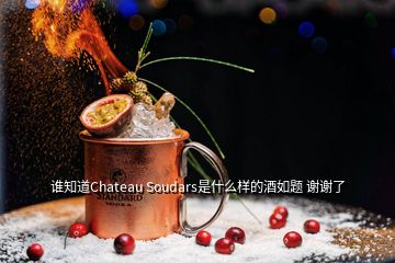 誰(shuí)知道Chateau Soudars是什么樣的酒如題 謝謝了