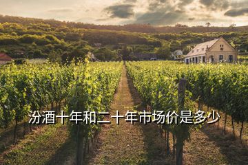 汾酒十年和二十年市場(chǎng)價(jià)是多少